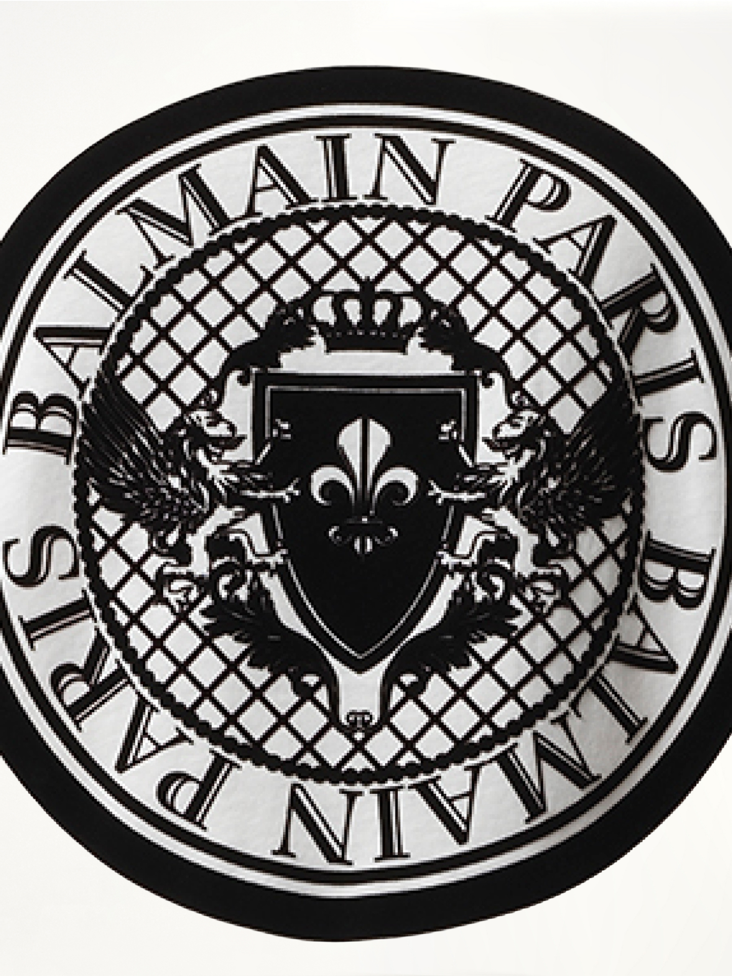 Coin Flock Reg Fit T-Shirt in White/Black