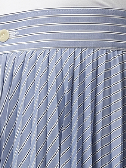Cotton Poplin Stripe Skirt in Light Blue