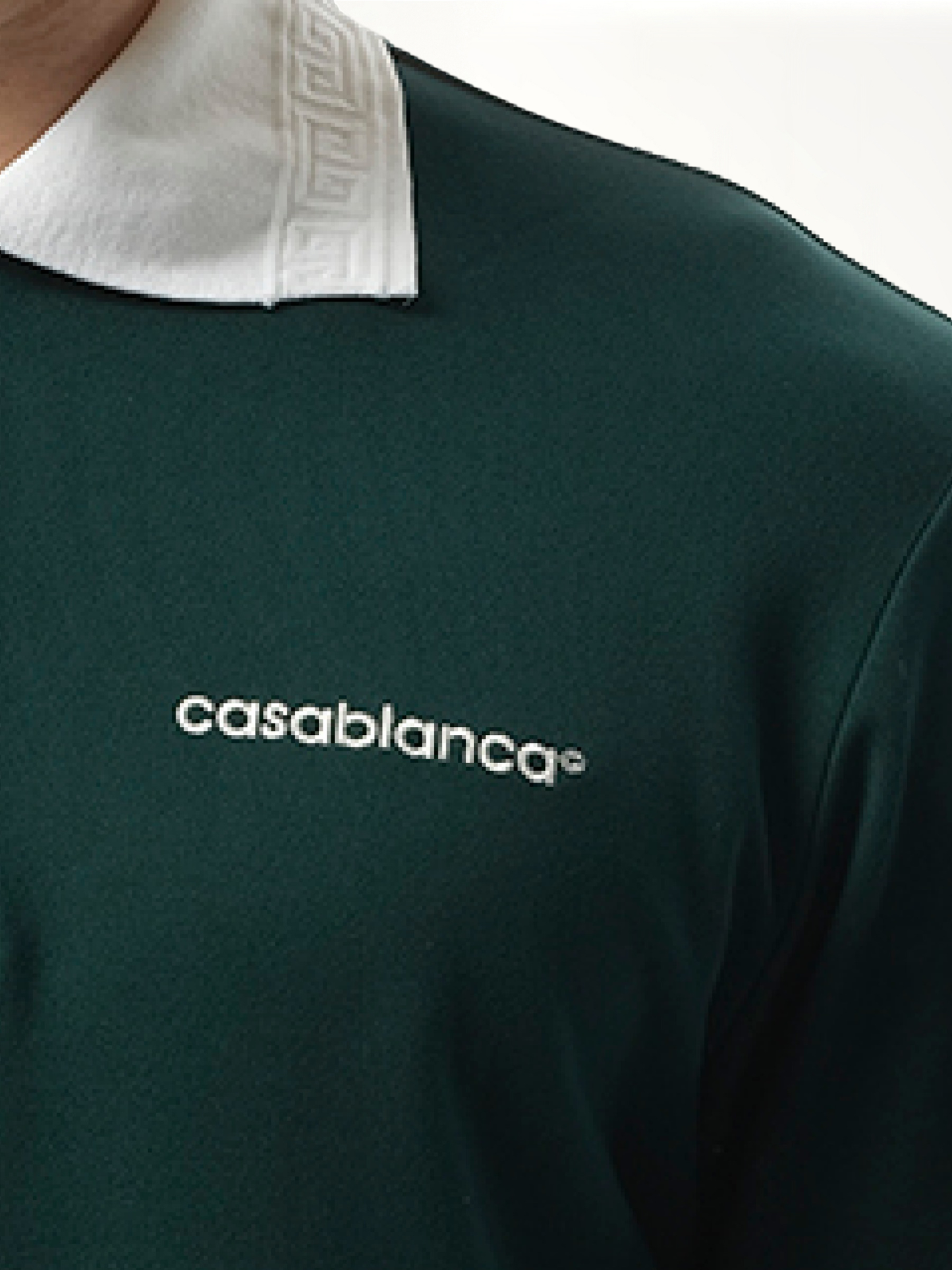 Long Sleeve Viscose Polo in Green