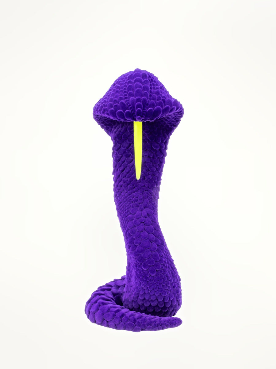 Brad Gunn The Dead and Delicate in Purple