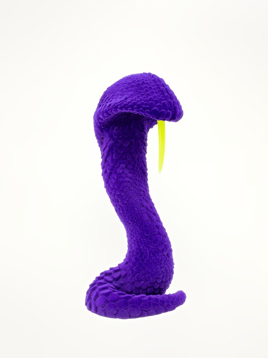 Brad Gunn The Dead and Delicate in Purple