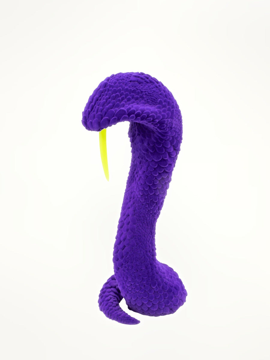 Brad Gunn The Dead and Delicate in Purple
