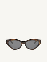 CL40323U Acetate Sunglasses in Shiny Havana/Grey
