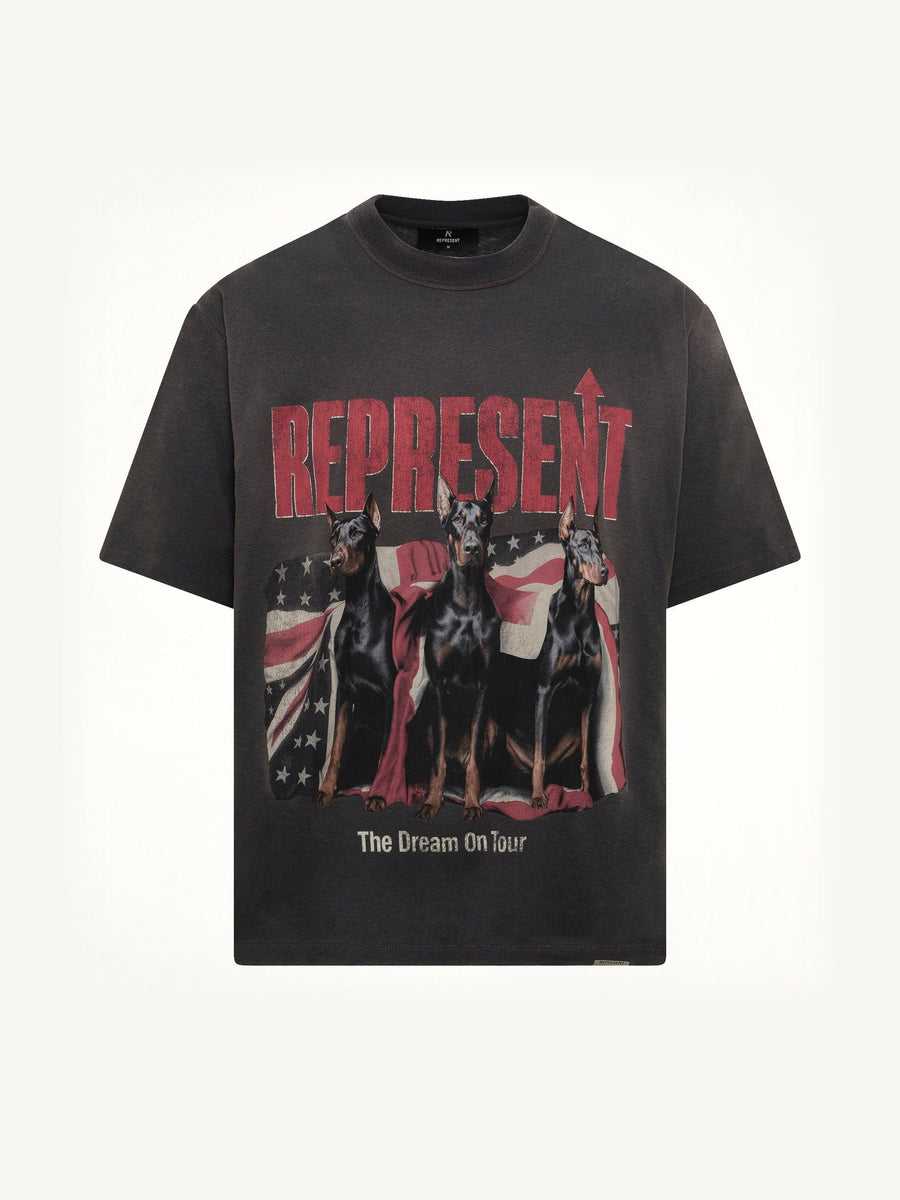 Dream On Tour T-Shirt in Sun Fade Grey