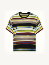 Stripe Cotton Jersey T-Shirt in Yellow