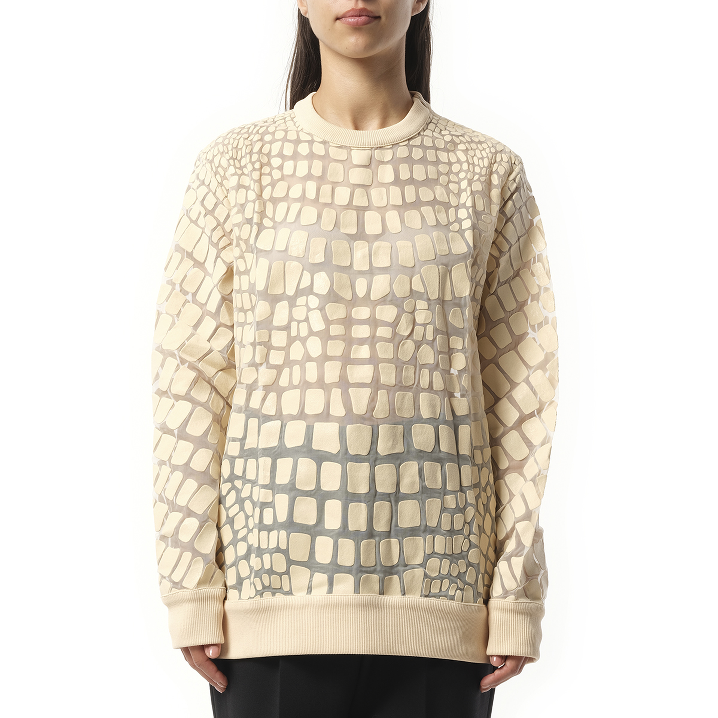 Sweatshirt in Powder