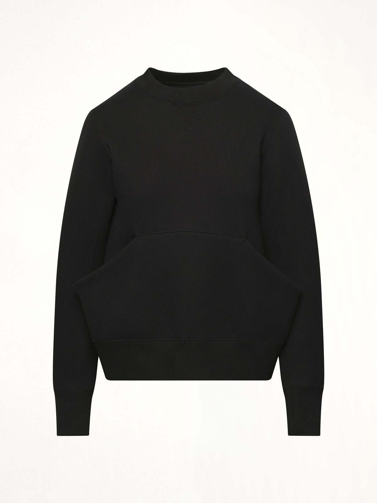 Sponge Sweat Pullover in Black
