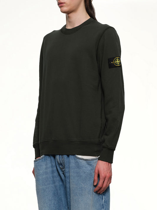 610006 Crewneck Sweatshirt in Juniper