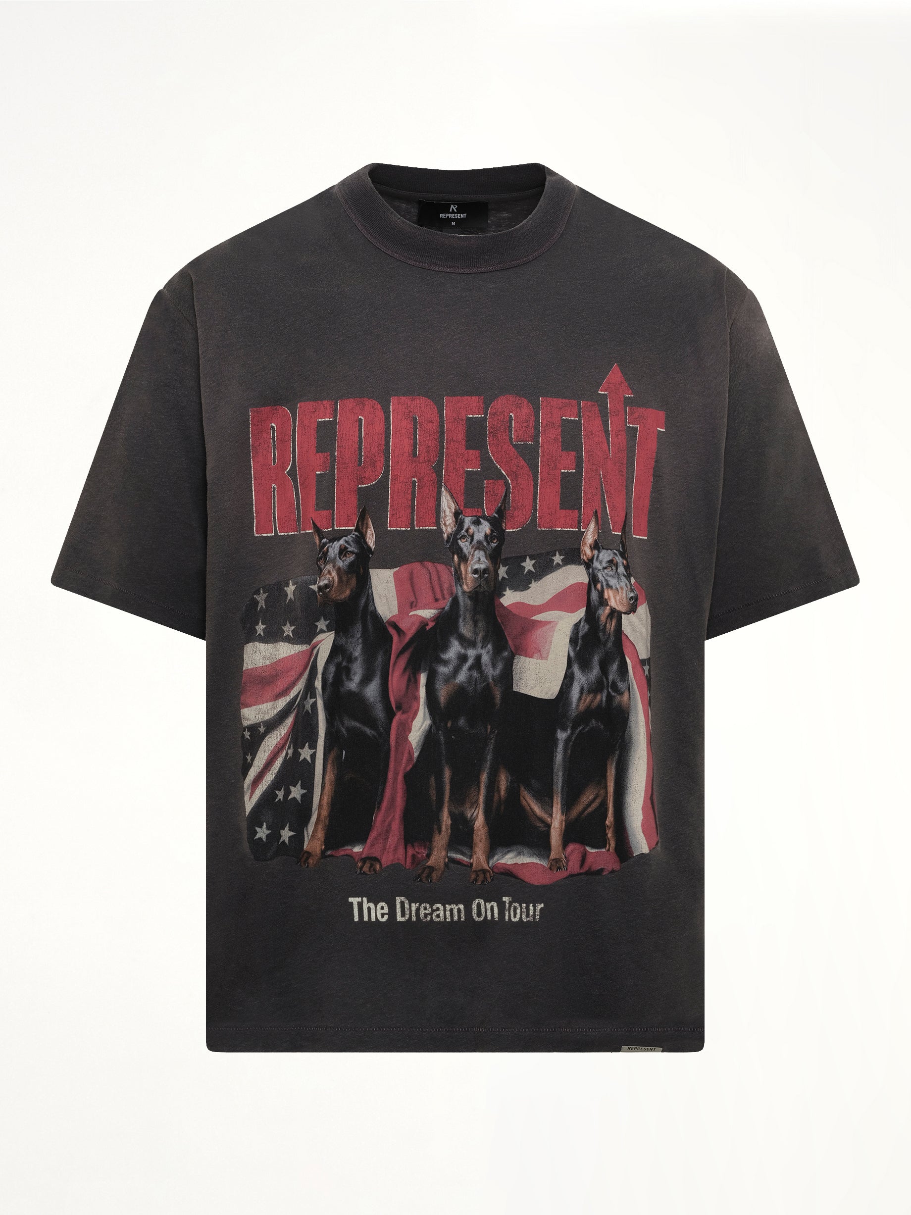 REPRESENT , Dream On Tour T-Shirt in Sun Fade Grey Product Photo from MARAIS