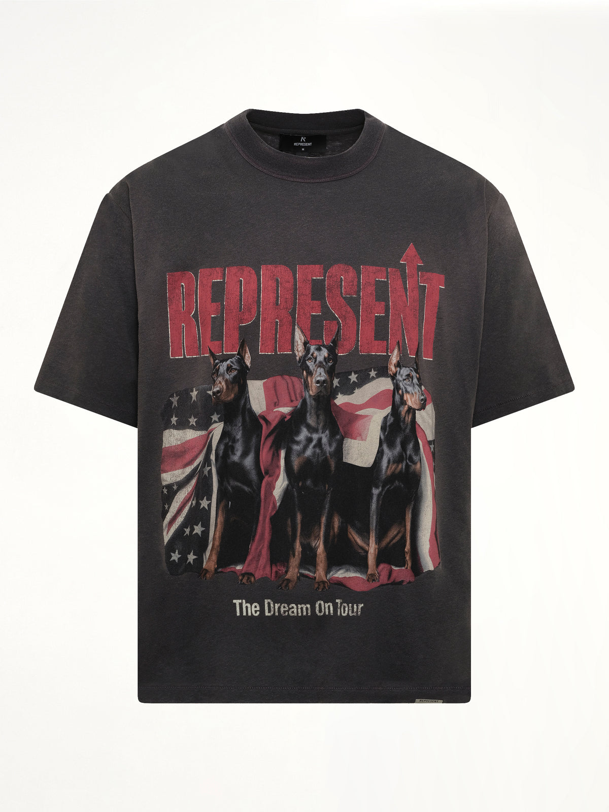 Dream On Tour T-Shirt in Sun Fade Grey