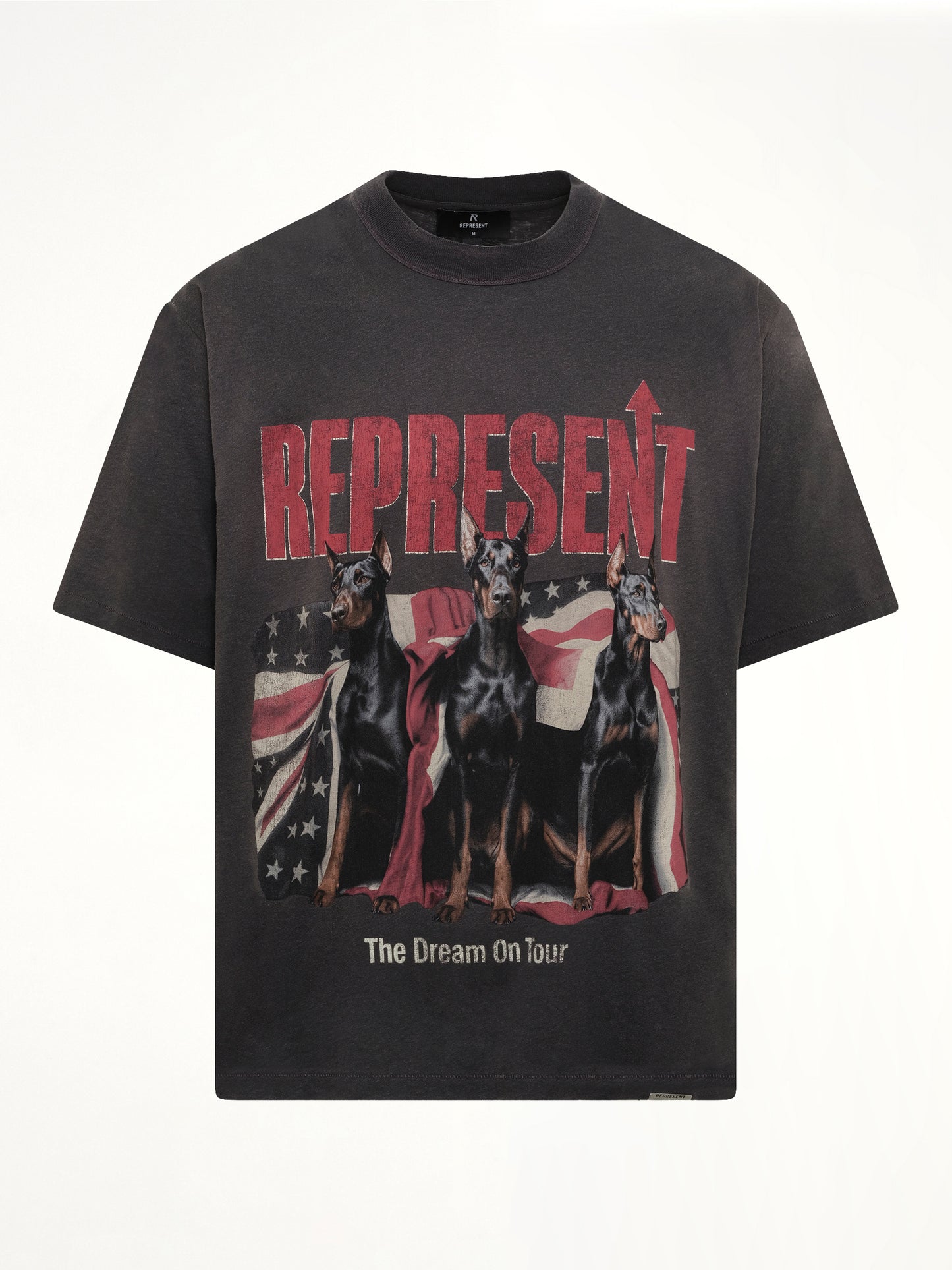Dream On Tour T-Shirt in Sun Fade Grey