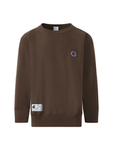 Undercover Undercover x Champion Sweatshirt in Brown