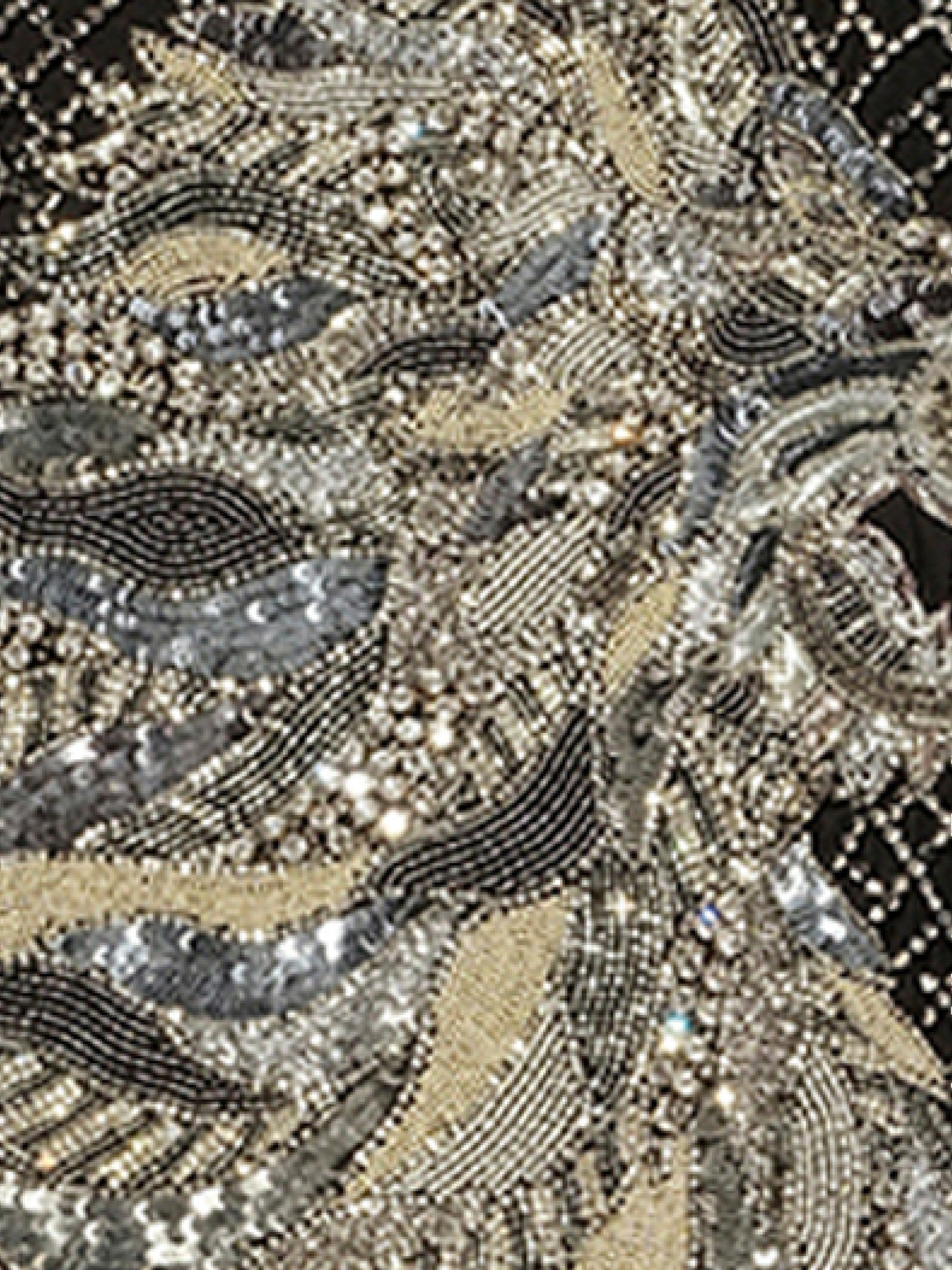 Lion Jewel T-Shirt in Black