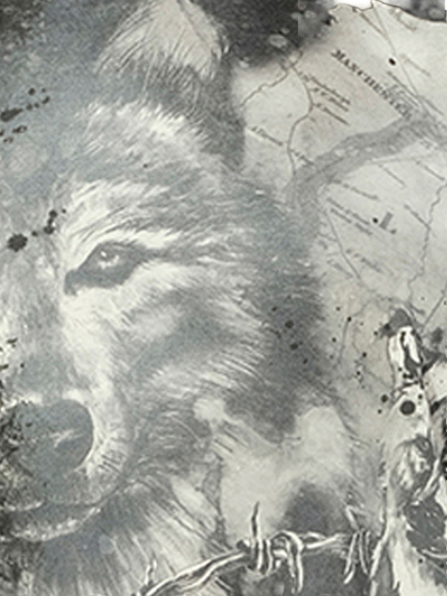 Wolf T-Shirt in Black