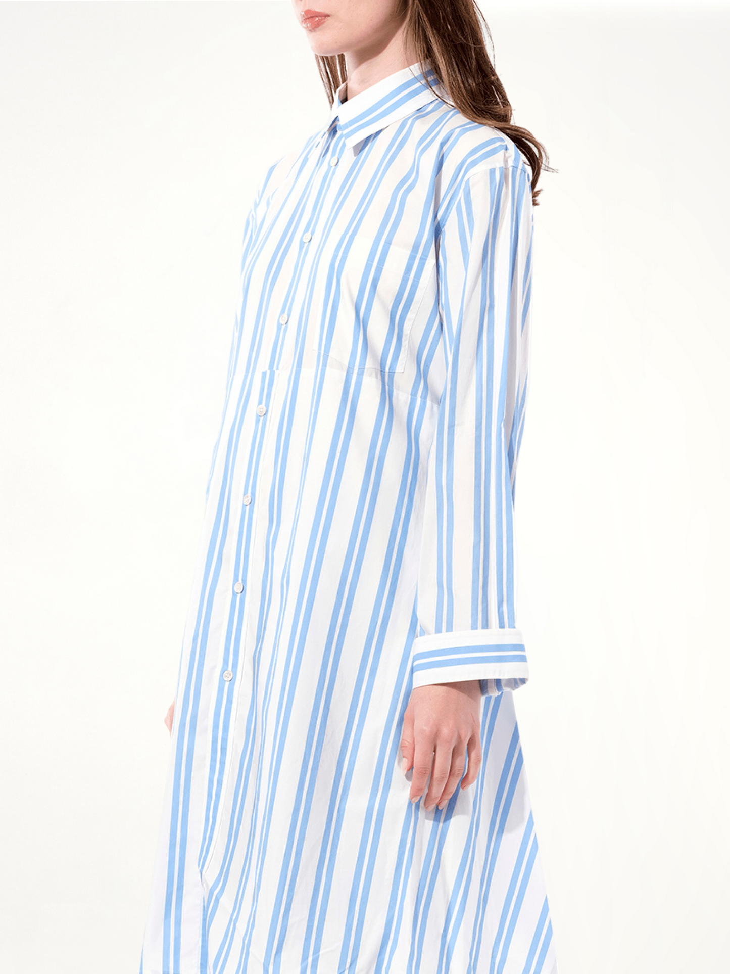 Chilie Dress in Blue/White