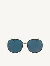 Dior by Dior 2 Sunglasses in Gold