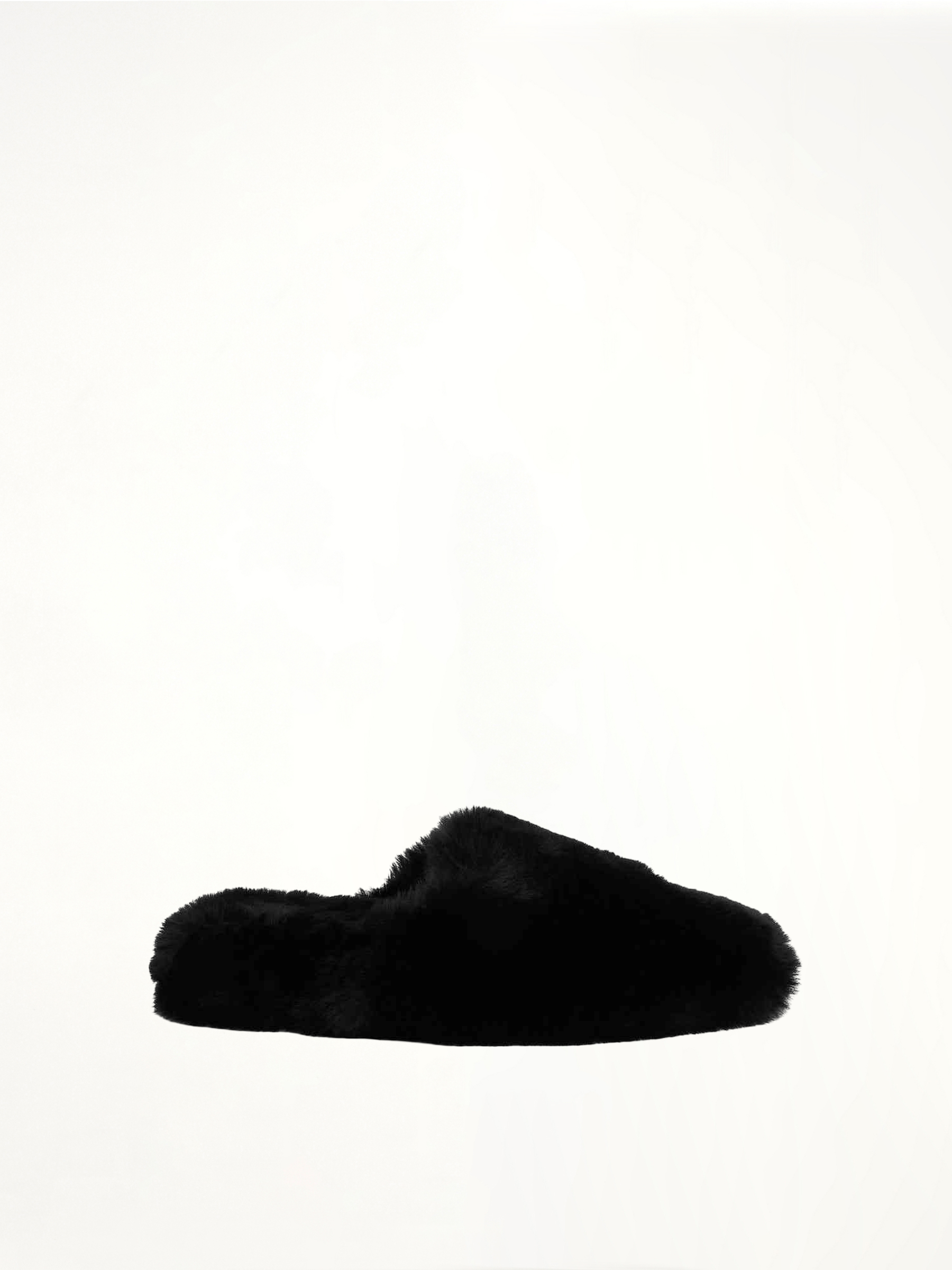 Teddy Mule in Black Side View | BALENCIAGA