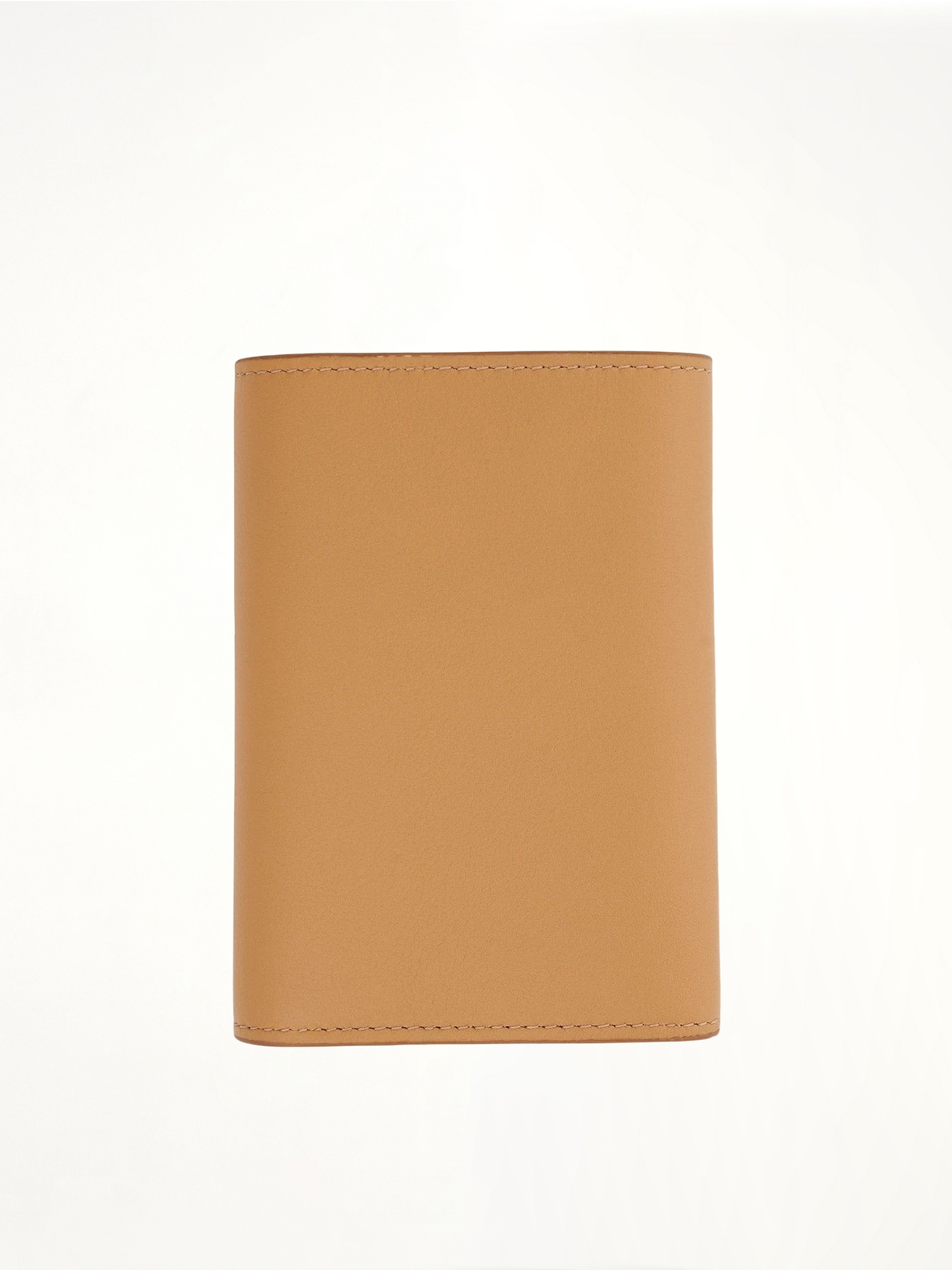 Owl Small Vertical Wallet in Classic Calfskin in Dune