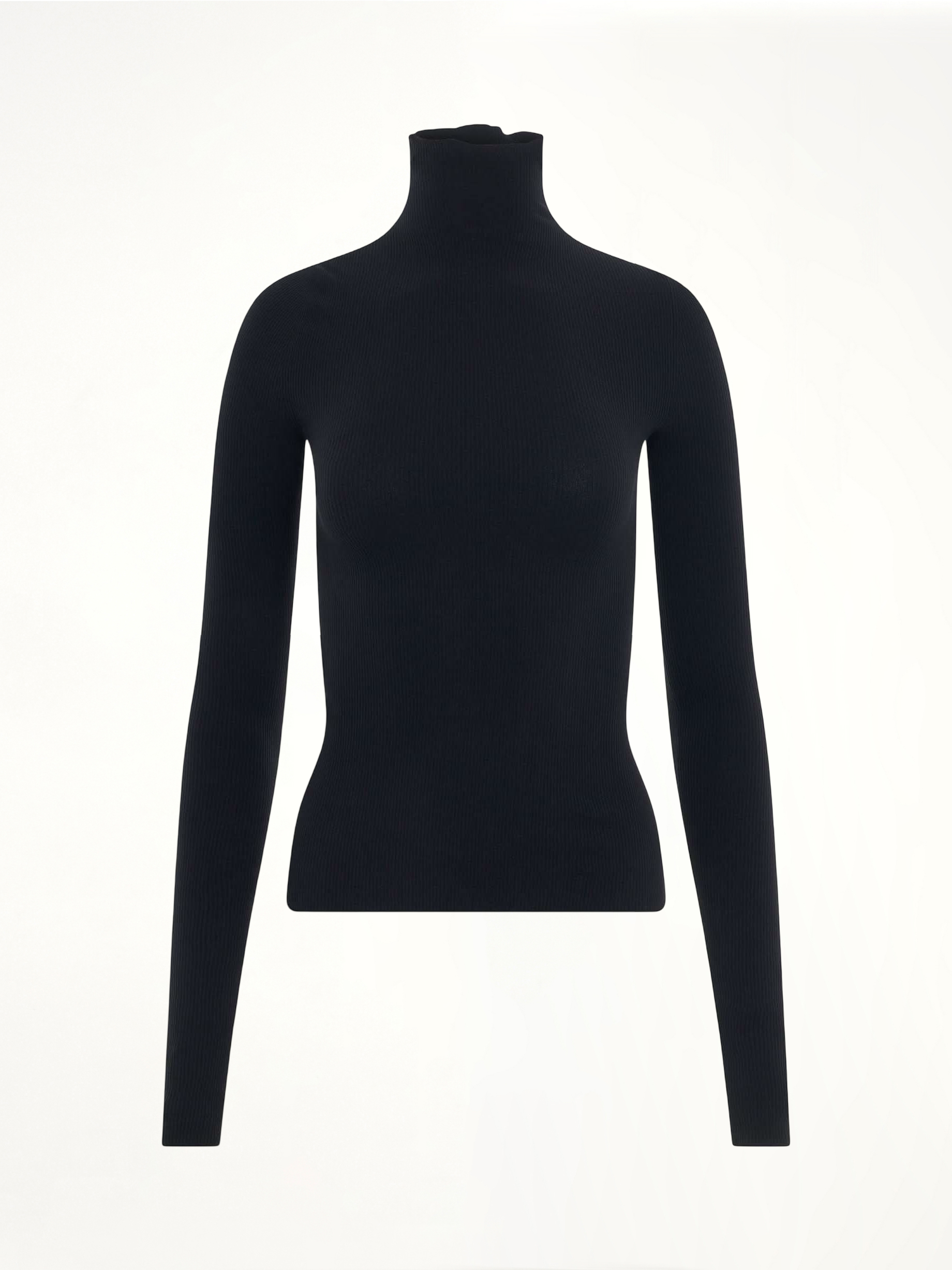 Turtleneck Sweater in Black