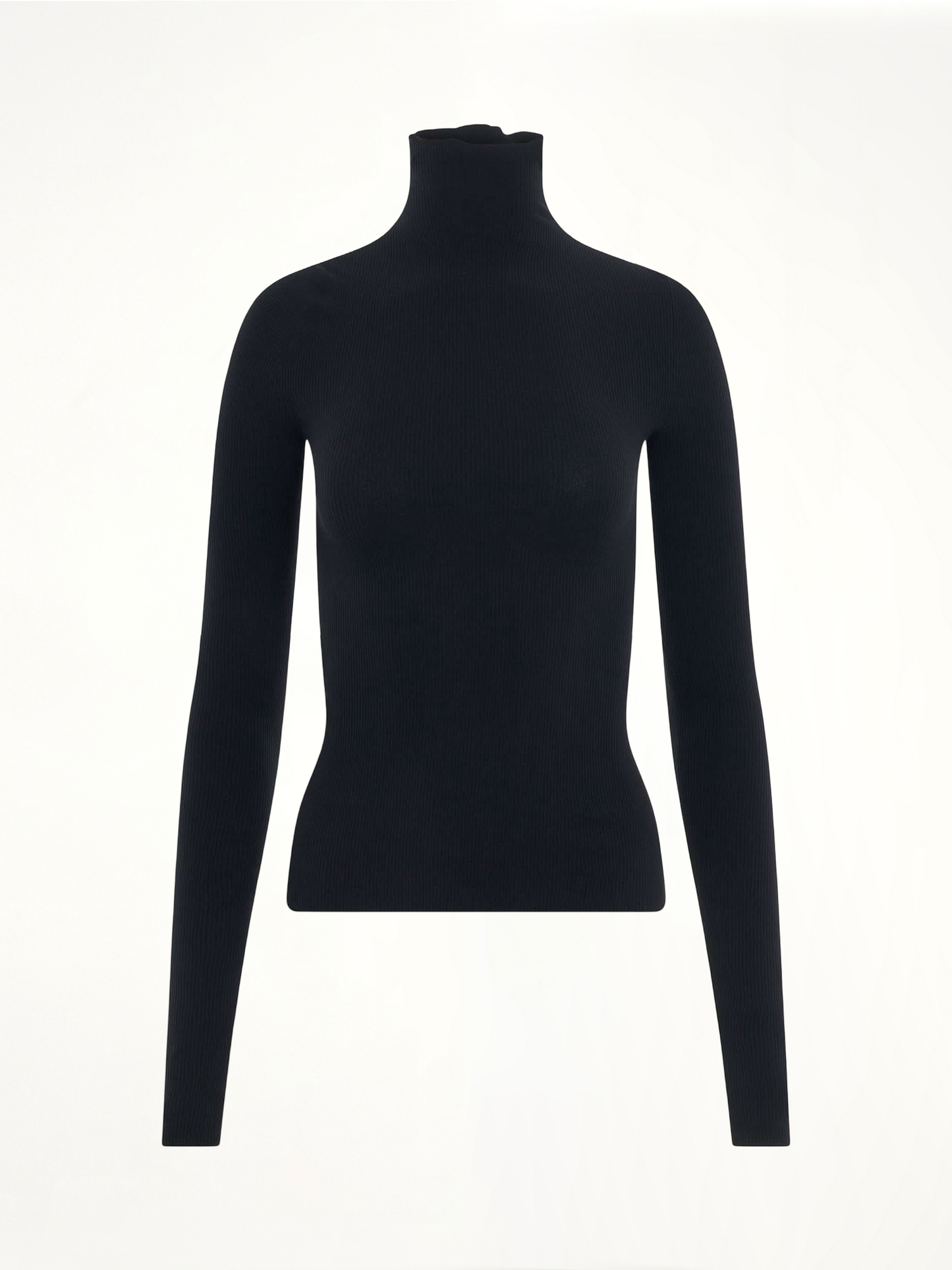 Turtleneck Sweater in Black