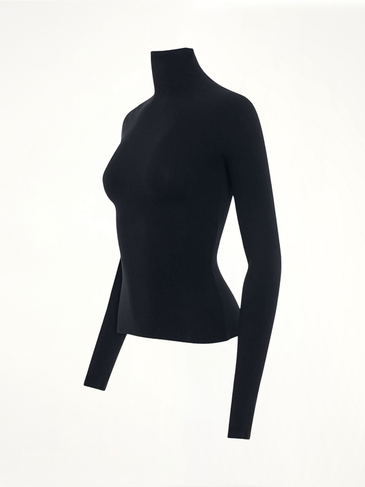 Turtleneck Sweater in Black