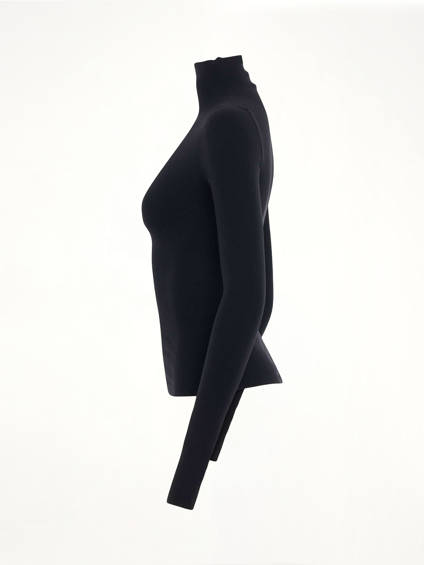 Turtleneck Sweater in Black