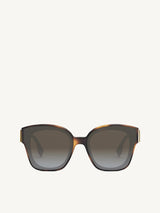 Fendi FE40098F 6553B Cat Eye Sunglasses in Havana
