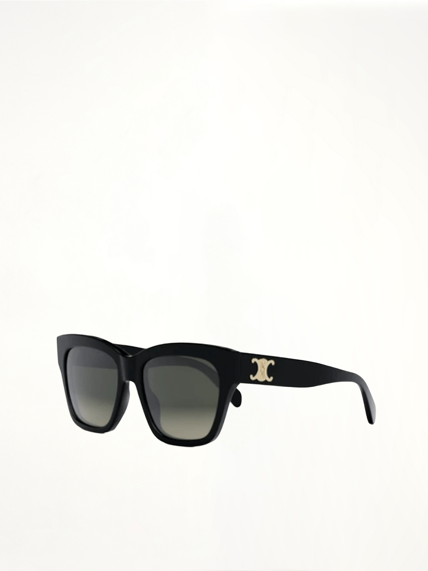 Celine CL40253I 5501F Acetate Sunglasses in Black