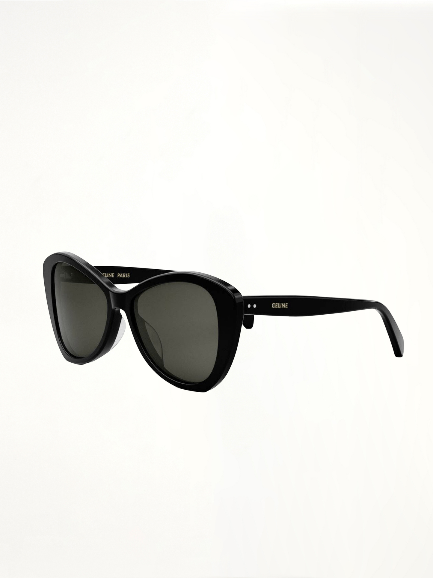 Celine CL40270U 5501A Acetate Sunglasses in Black