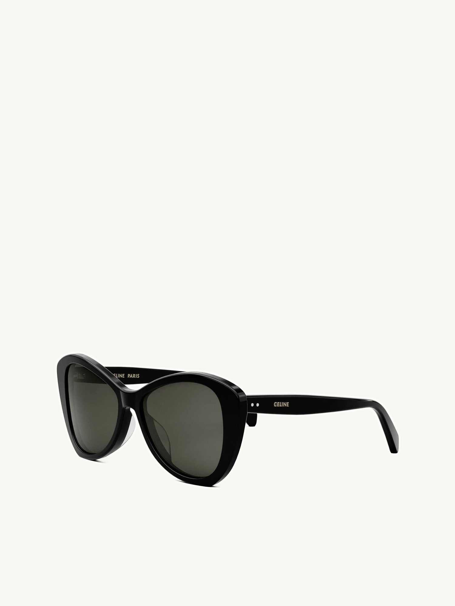 Celine CL40270U 5501A Acetate Sunglasses in Black