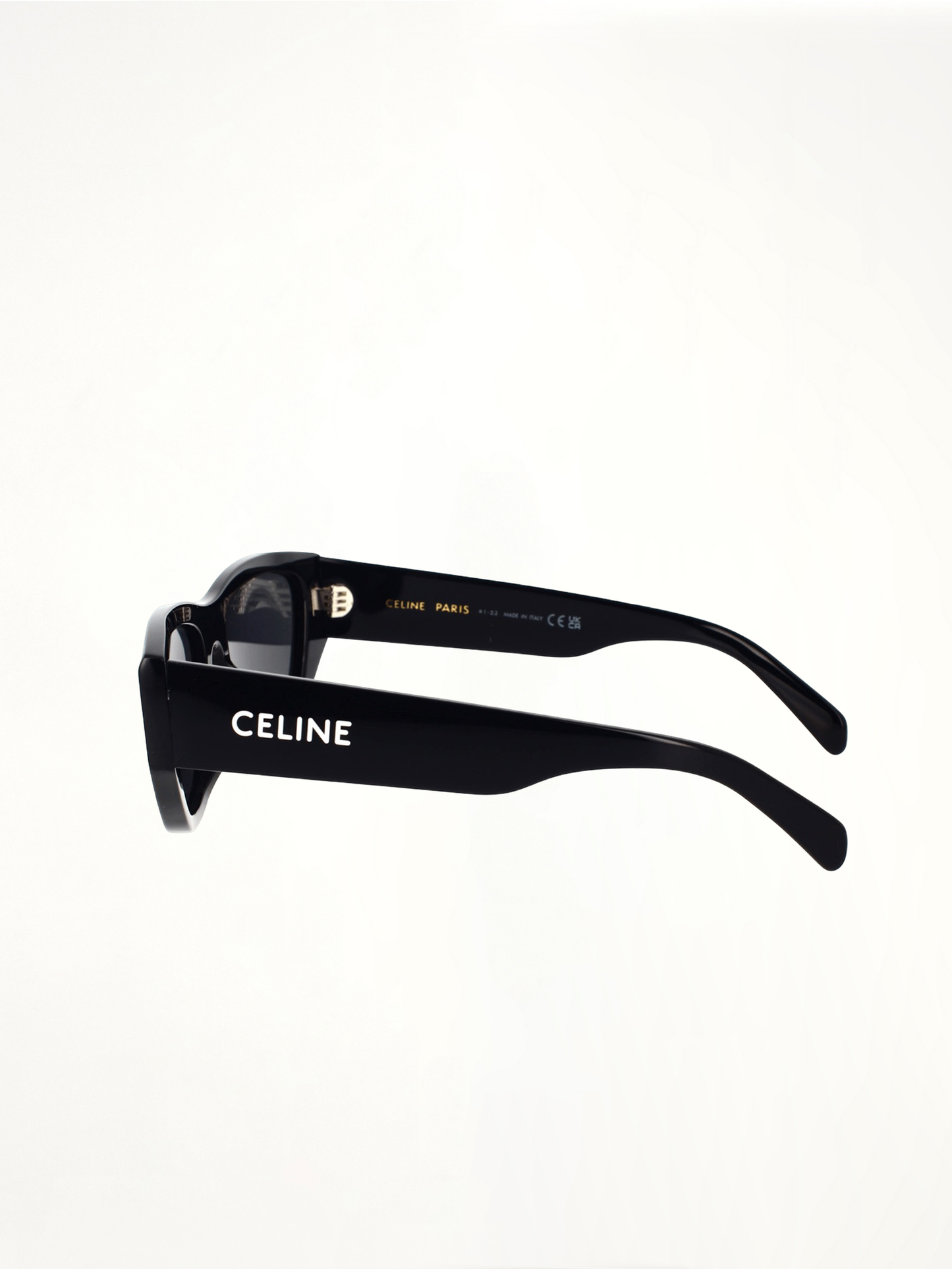 Celine CL40278U 5501A Acetate Sunglasses in Black