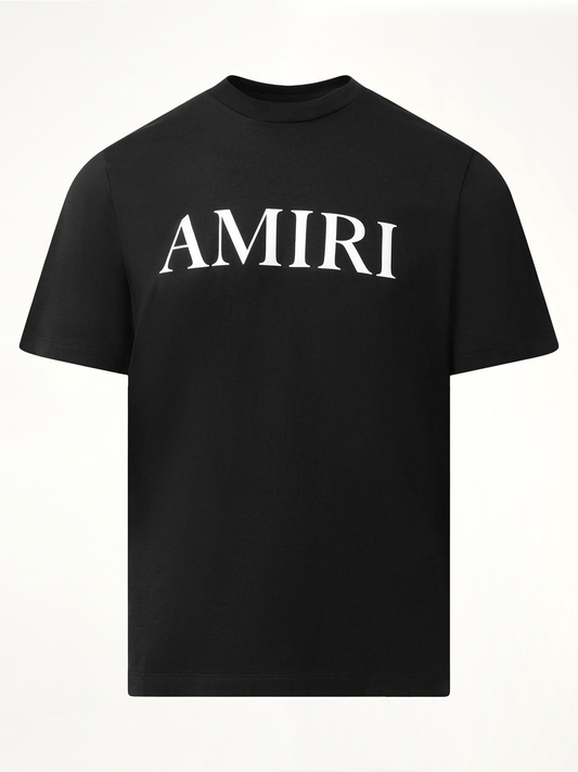 Amiri Core Logo T-Shirt in Black/White