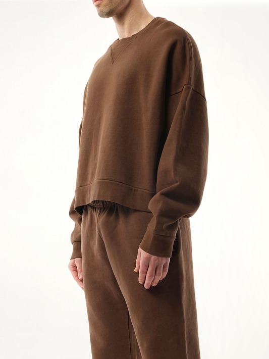 Box Sweatshirt in Brunette
