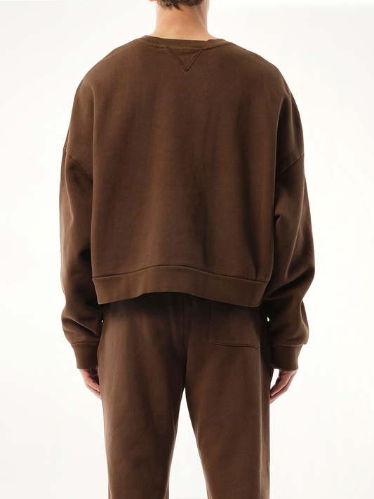 Box Sweatshirt in Brunette