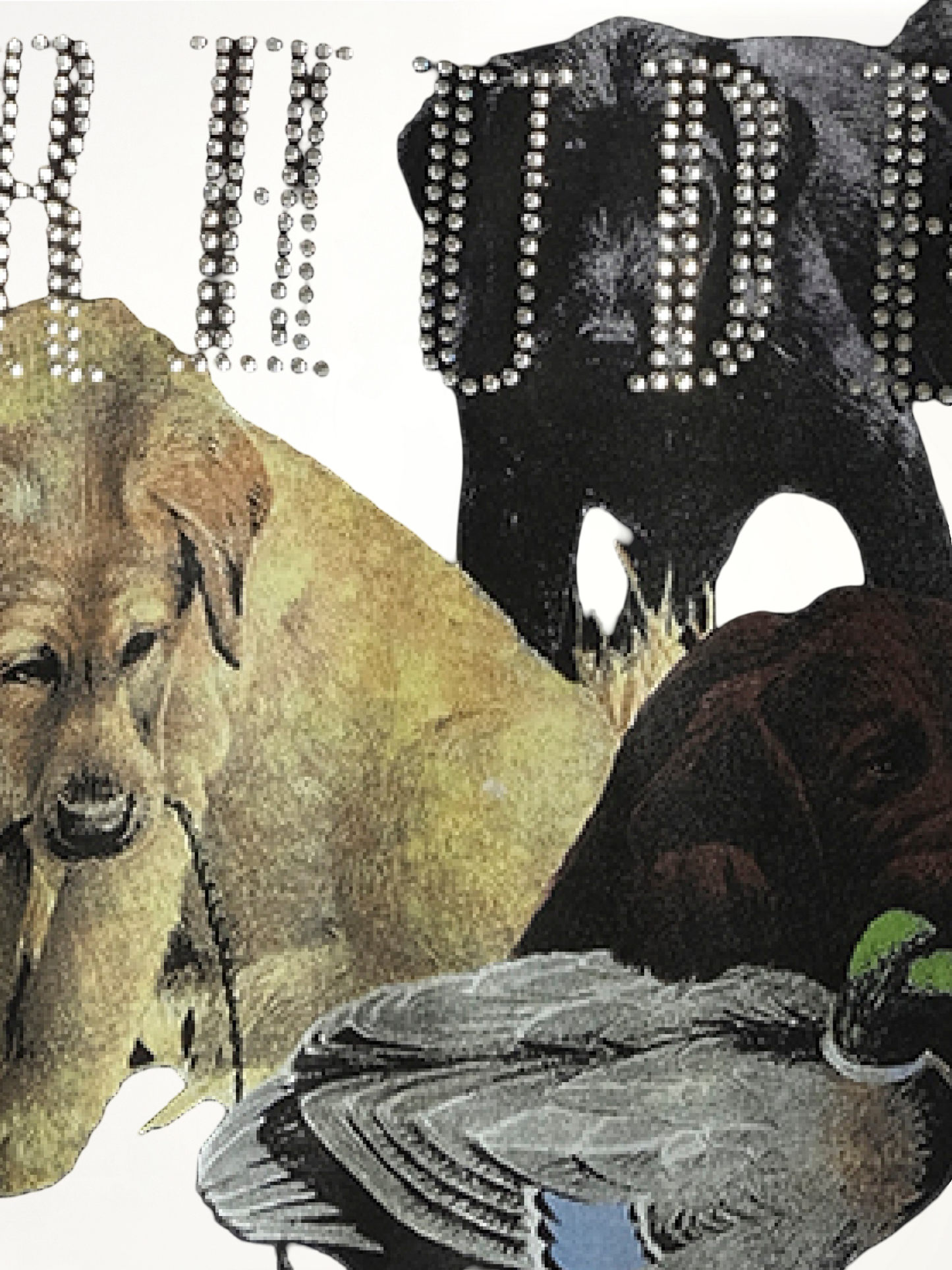 Rhinestone Hunting Dog T-Shirt in Vintage Black