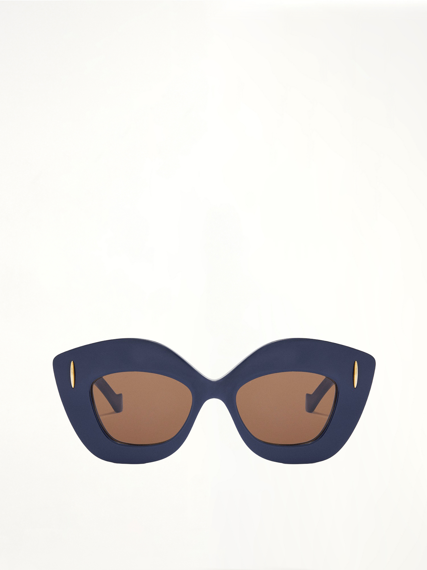 Loewe LW40127F Acetate Sunglasses in Blue