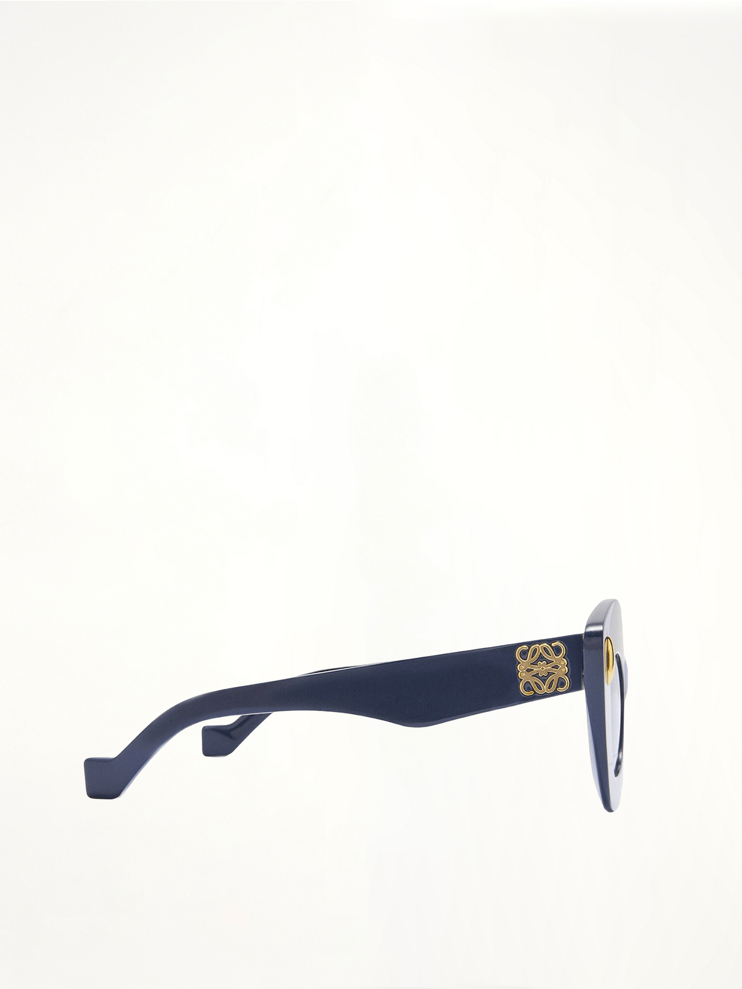 Loewe LW40127F Acetate Sunglasses in Blue