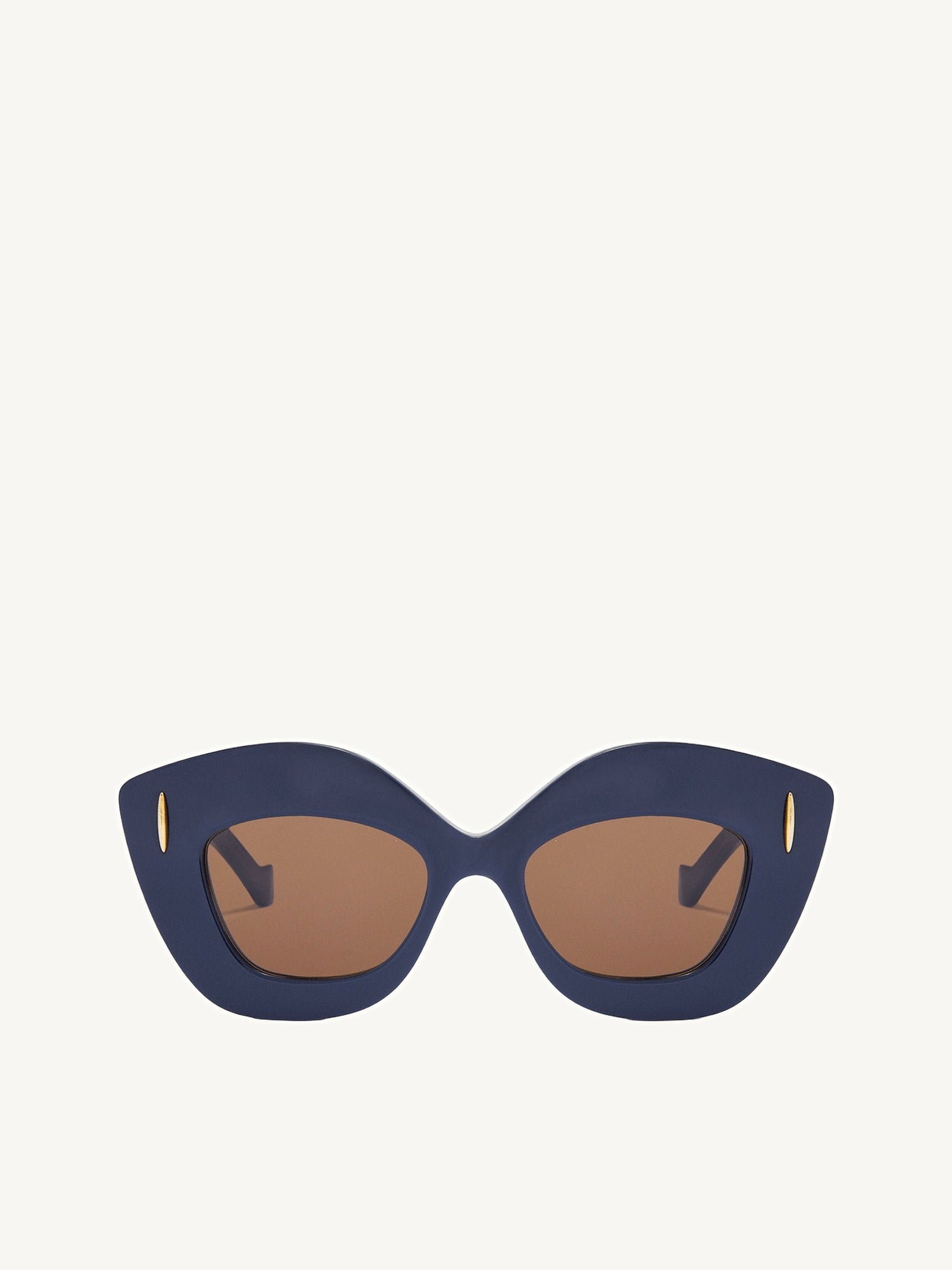 Loewe LW40127F Acetate Sunglasses in Blue