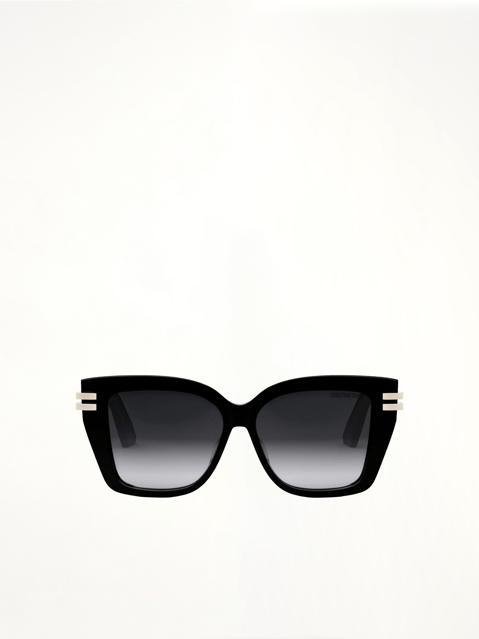Dior CDIOR S1F 10A156 Sunglasses in Black