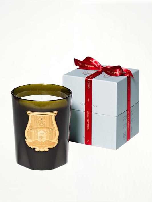 Ernesto Great Candle