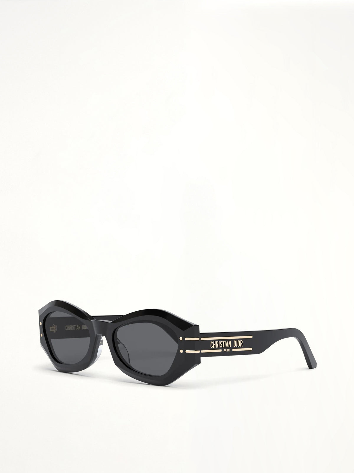 DiorSignature B1U 10A0 Sunglasses in Black