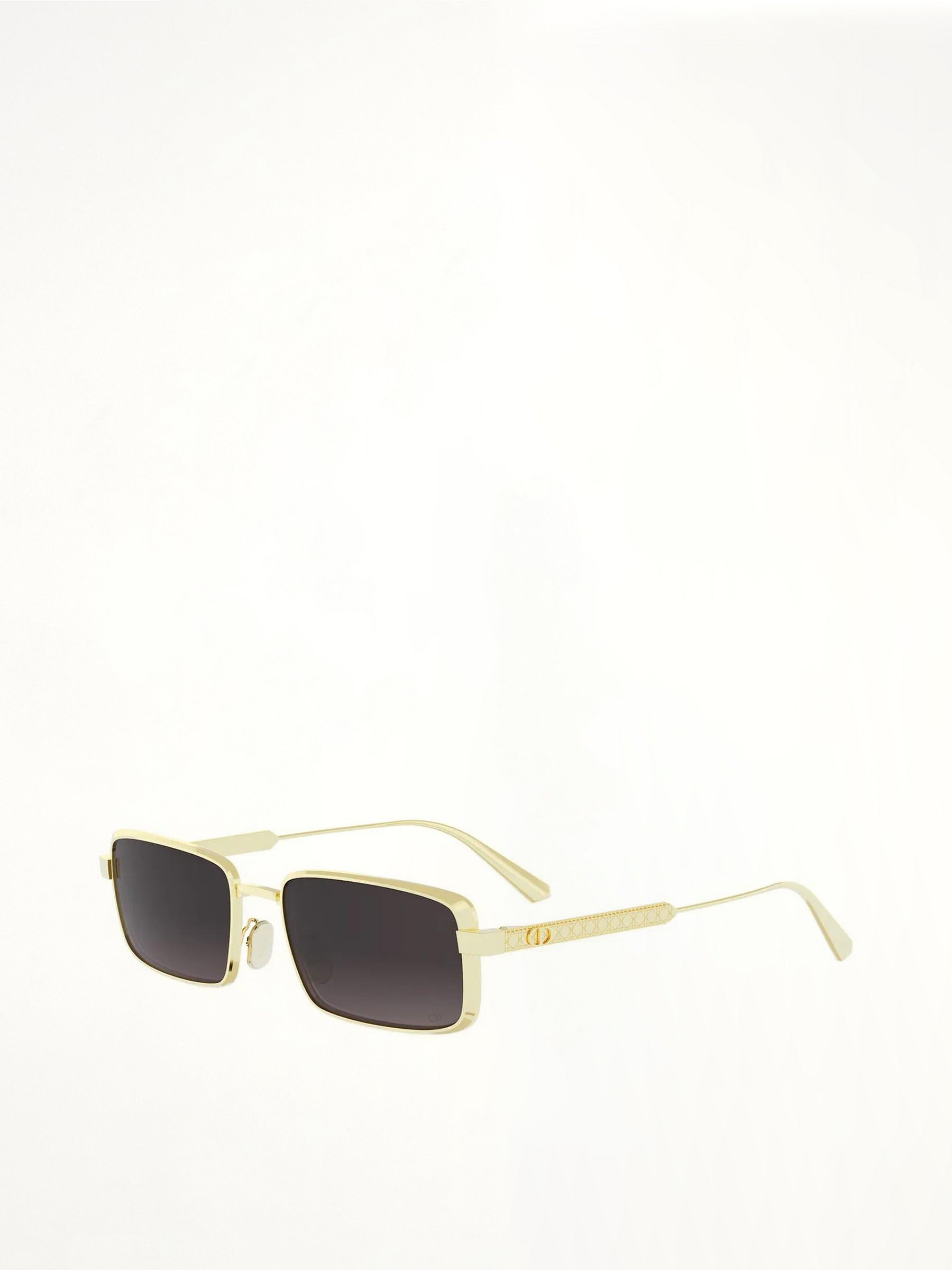 DIORCANNAGE S2U B0A155 in Shiny Gold