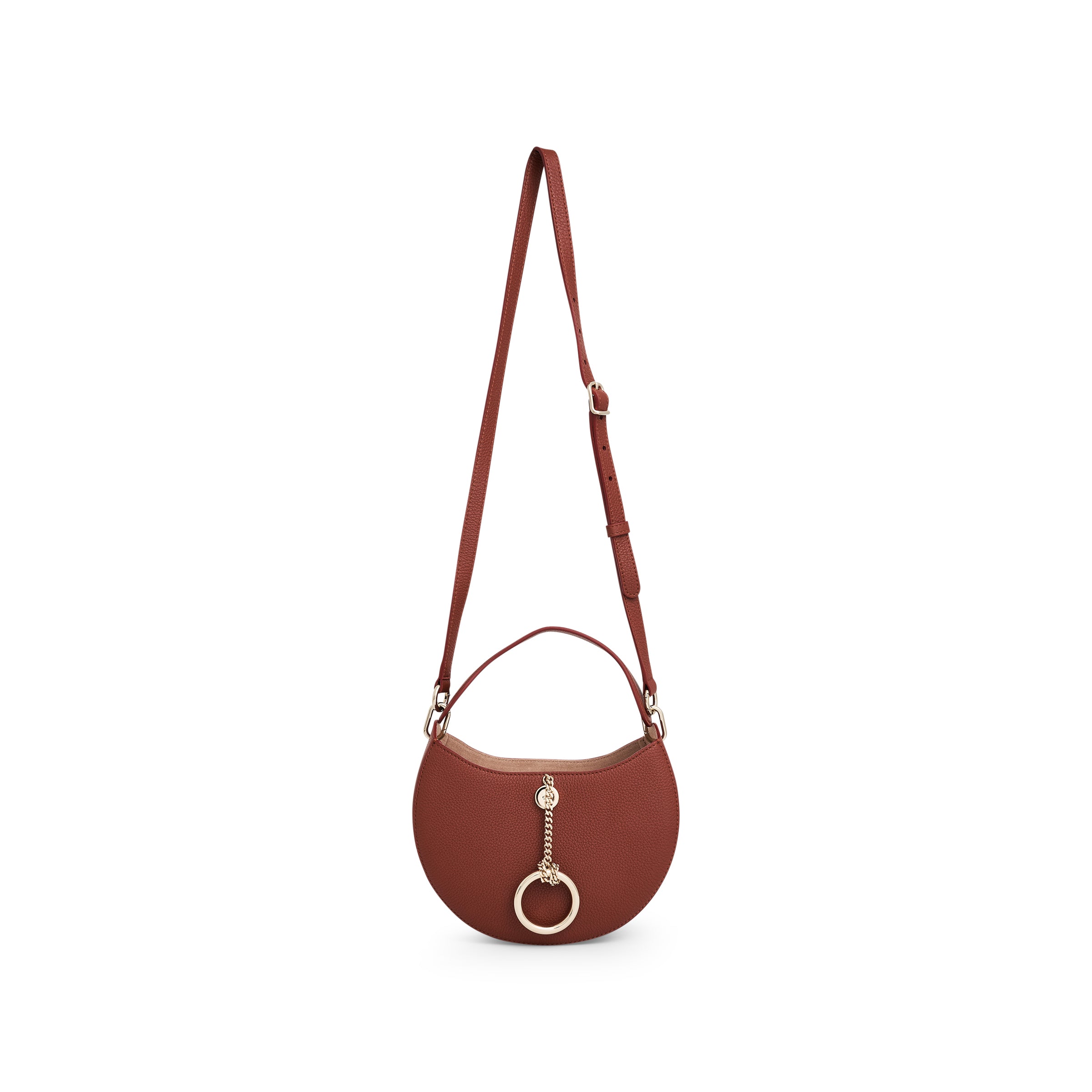 Chloe Arlene Small Bag in Sepia Brown