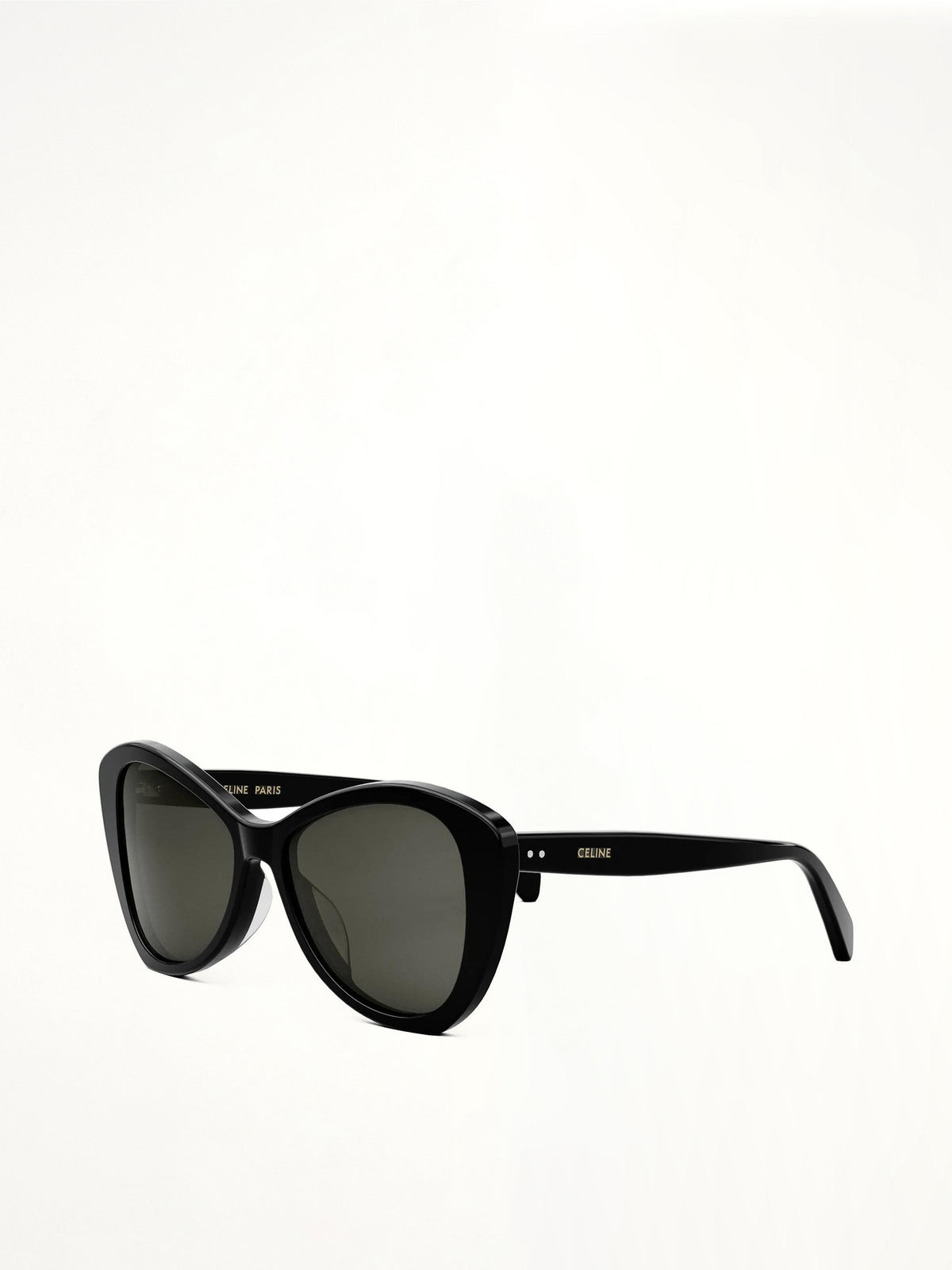 Celine CL40270U 5501A Acetate Sunglasses in Black
