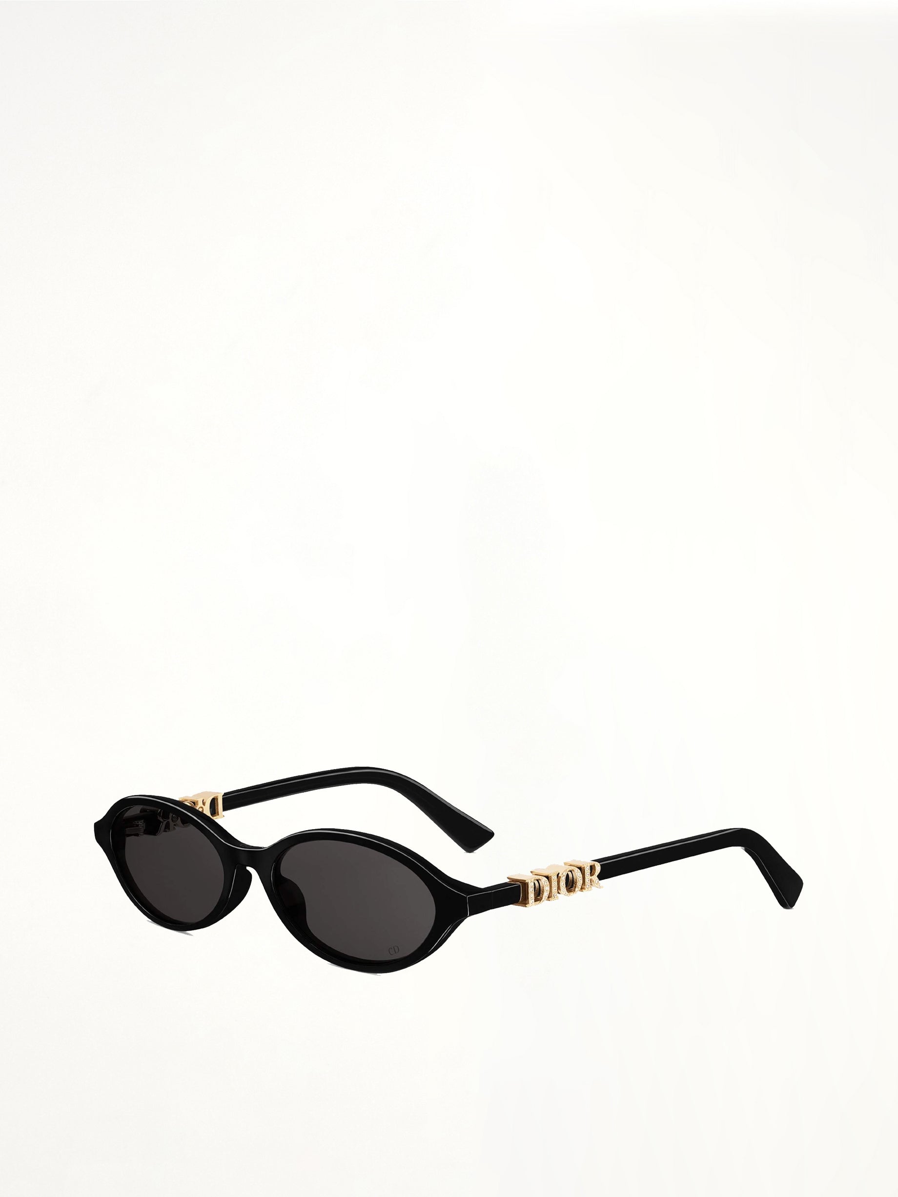 DiorTreasure R1I 5101A Sunglasses in Black