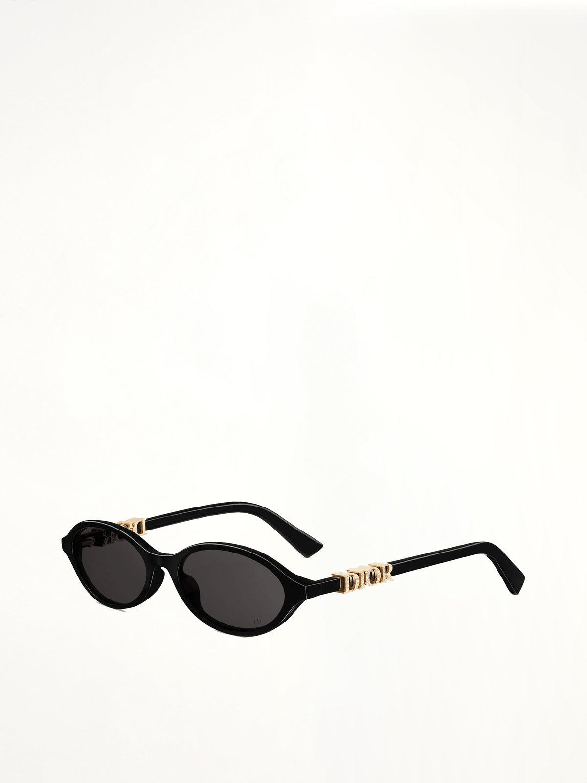 DiorTreasure R1I 5101A Sunglasses in Black