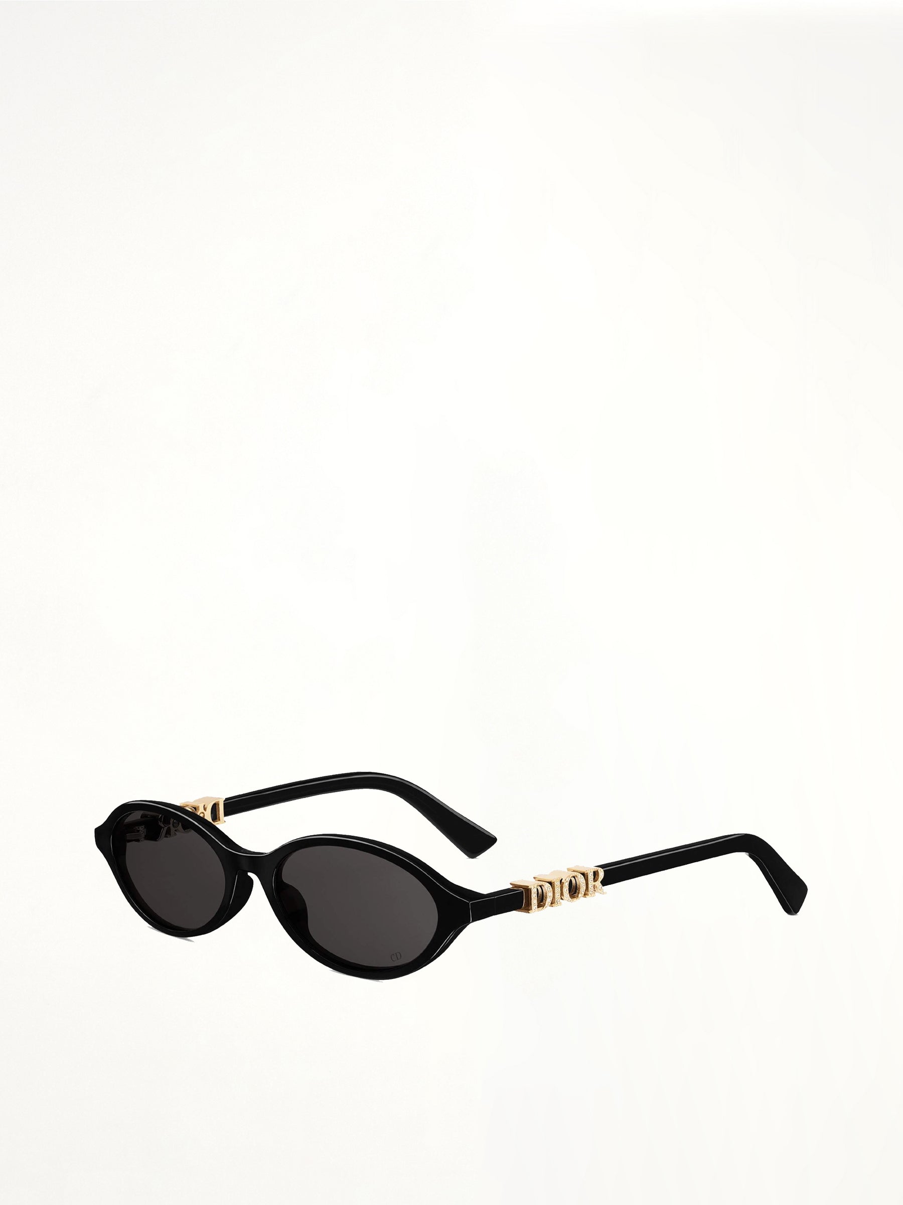 DiorTreasure R1I 5101A Sunglasses in Black