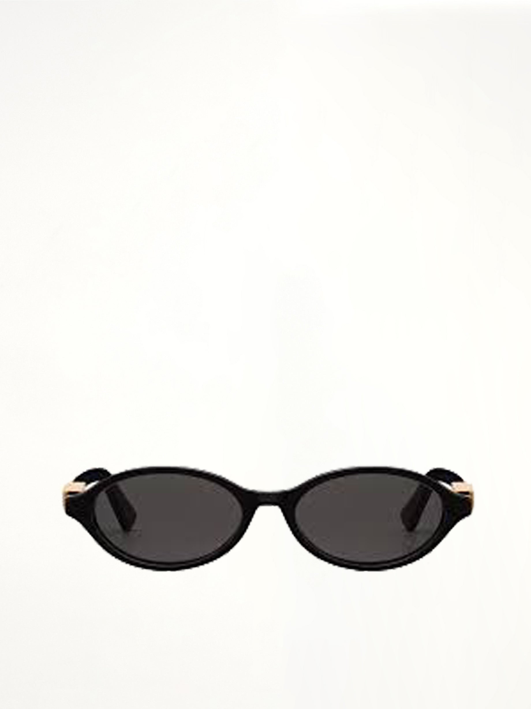 DiorTreasure R1I 5101A Sunglasses in Black