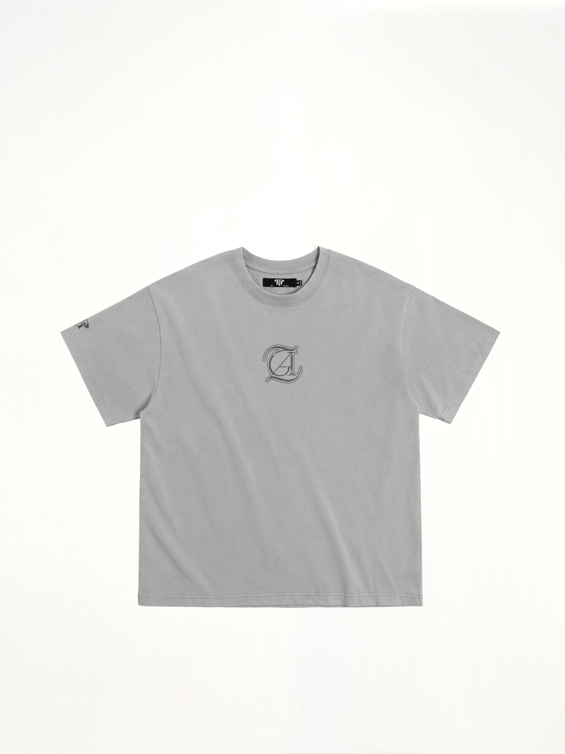 J Carnival II World Tour Album Washed T-Shirt in Light Grey