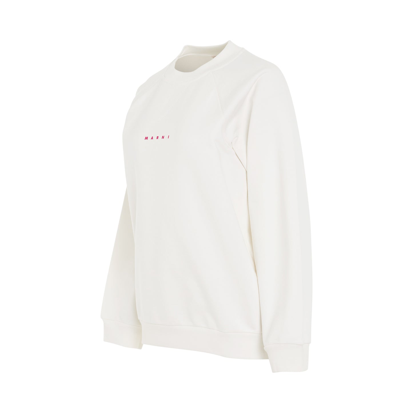 Small Logo Sweatshirt in White